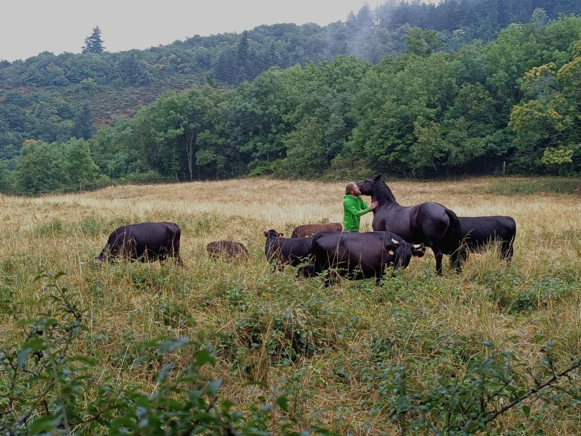 Ferme Les Therondels Saint-Pons-de-Thomieres Buitenkant foto