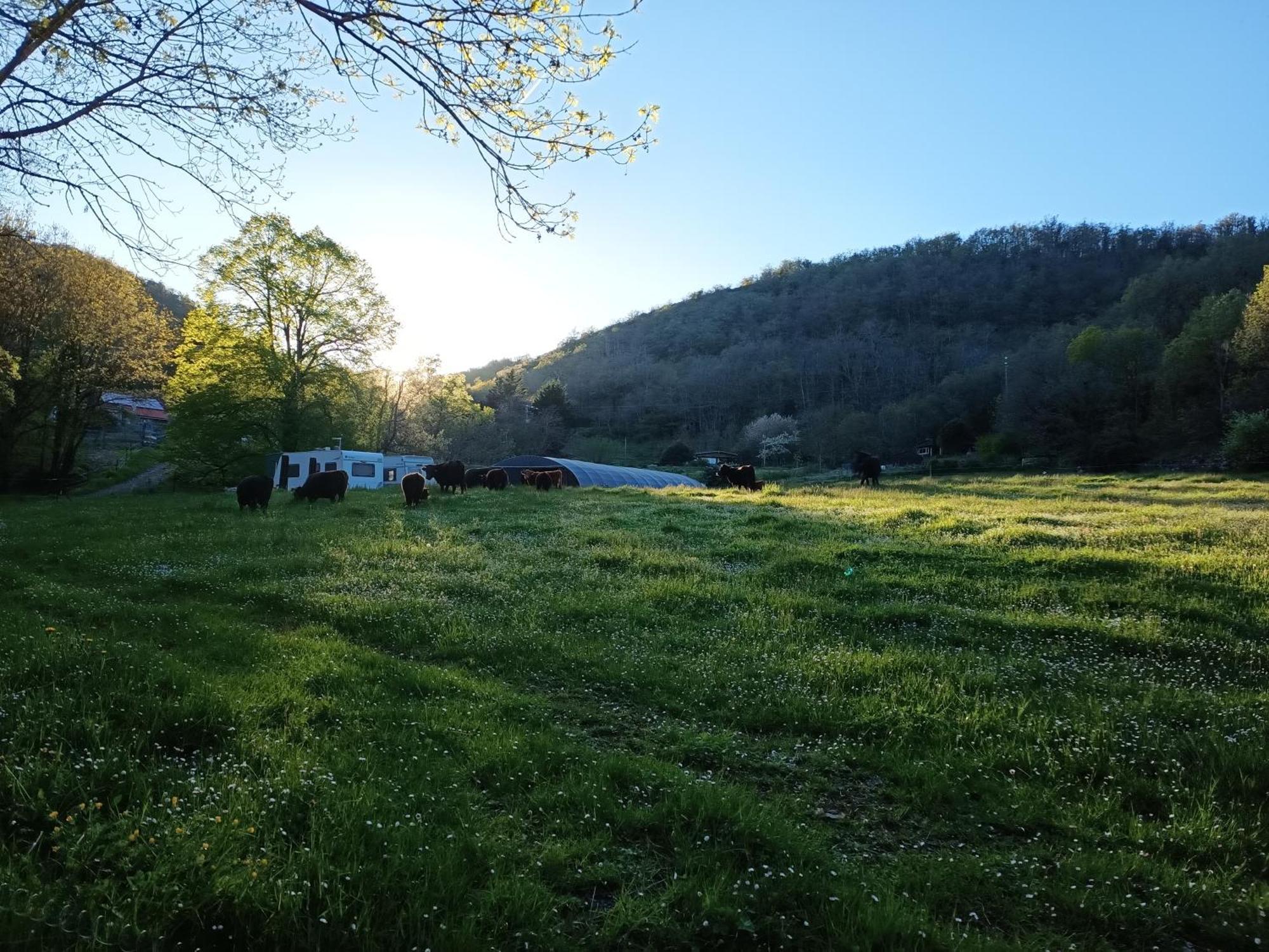 Ferme Les Therondels Saint-Pons-de-Thomieres Buitenkant foto